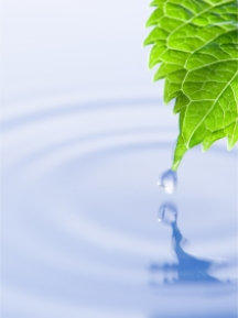 Hall Tax Service - Specialist tax investigation service